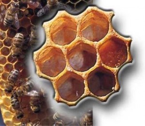 erkekler-icin-kuvvet-macunu