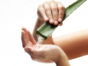 aloe-vera-jeli
